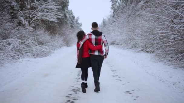 Casal Divertindo Enquanto Viaja Floresta Montanhas Cobertas Neve Juntos Férias — Vídeo de Stock