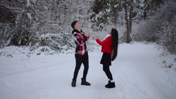 Homem Jogando Bolas Neve Com Sua Namorada Enquanto Caminhava Floresta — Vídeo de Stock