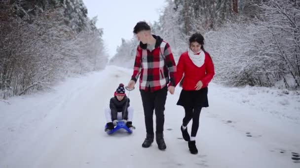爸爸和妈妈骑着雪橇骑着孩子穿过松树园 圣诞节假期 一家人在针叶林里休息 儿童及其父母 — 图库视频影像