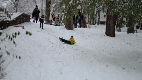 Ludzie Cieszą Się Śnieżnym Dniem Zjeżdżając Wzgórza Parku — Wideo stockowe