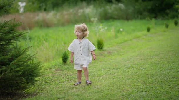 Small Child Linen Shirt Walks Green Meadow Summer — Stock Video