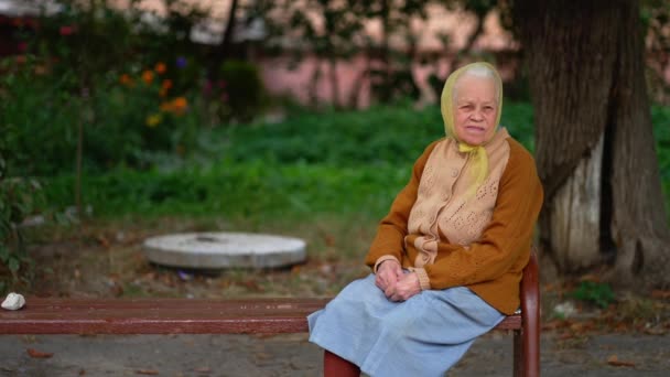 Беззаботная Пожилая Женщина Наслаждается Тишиной Парке — стоковое видео