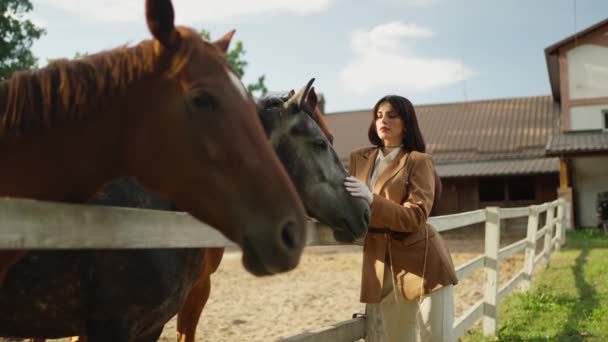 Kırsal Ahırda Atlarla Şık Giyimli Kadın Bağlanıyor Doğal Zarafet — Stok video