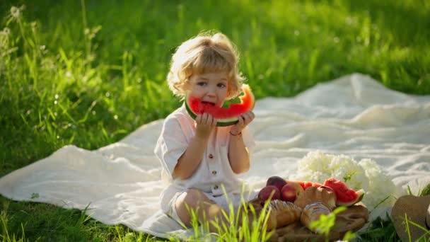 Mały Chłopiec Zjada Arbuza Podczas Pikniku Zielonej Łące Słoneczny Dzień — Wideo stockowe