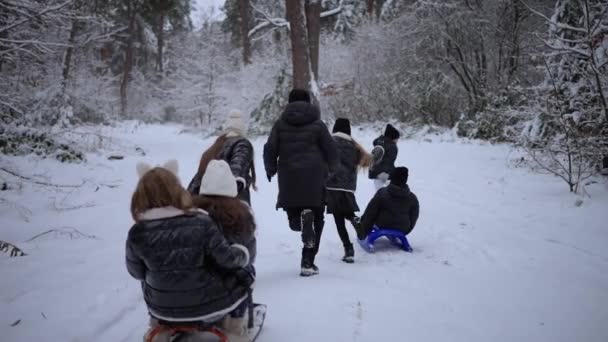 Školní Děti Běží Sáně Lese Zimě Sněhové Bouři — Stock video