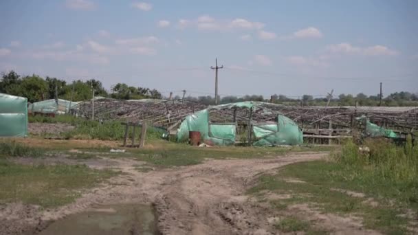 Vernachlässigte Landwirtschaft Ein Zerbrochenes Gewächshaus Mit Zerfledderten Wänden Und Einem — Stockvideo