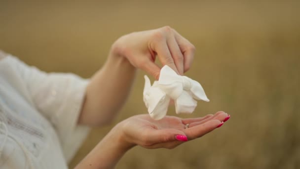 Mains Une Femme Enceinte Tenant Petites Chaussettes Bébé Future Mère — Video