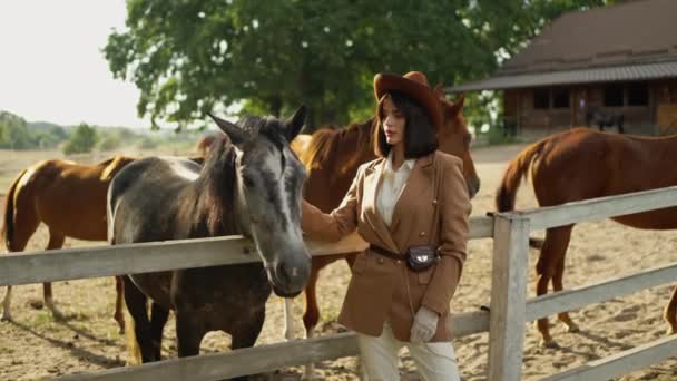 女性はパドックで馬と自然を楽しんでいます 日光の下で馬をストローキングかわいい女性のクローズアップ — ストック動画