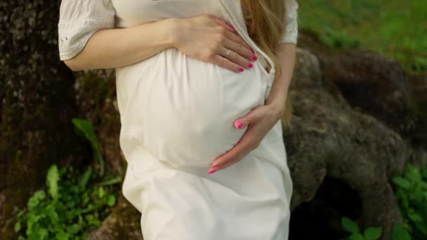 Těhotná Žena Bílých Šatech Drží Své Břicho Symbolizující Mateřskou Lásku — Stock video
