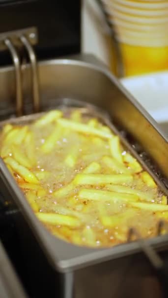 Kızarmış Patatesler Fritözde Cızırdıyor — Stok video