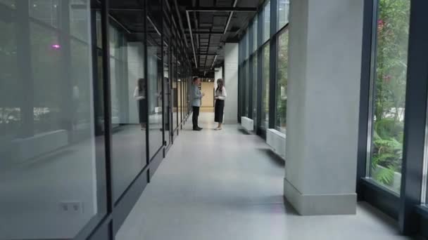 Korytarz Biurowy Szklanymi Ścianami Oferuje Przebłysk Zieleni Jako Tło Dla — Wideo stockowe