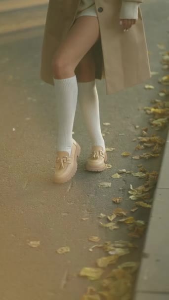 Sonbahar Modasının Gösterilmiş Zerafeti Diz Boyu Çorapların Yumuşak Dokusu Kadın — Stok video