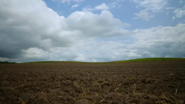 曇りの空に対して わらが残した野原のブラウン土 — ストック動画