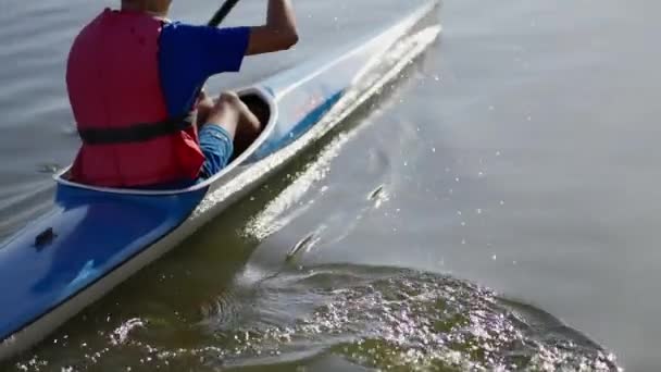 Atleta Remando Kayak Sereno Fondo Del Lago — Vídeo de stock