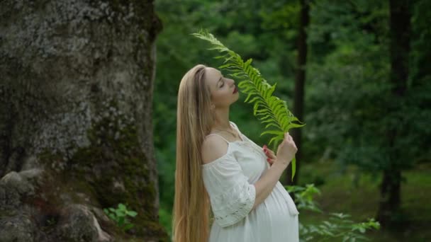 自然の中で妊娠した女性 優しく葉を保持 — ストック動画