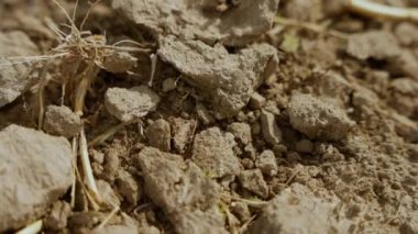 Tarlada sürülen kuru, bakımsız toprağın detaylı görüntüsü.