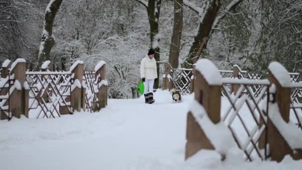 かわいいふわふわのスパイッツ子犬シェイクし 屋外で白雪姫と冬の雪公園で実行する — ストック動画