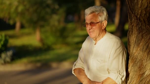 Homme Âgé Souriant Relaxant Dans Parc Coucher Soleil Appuyé Contre — Video