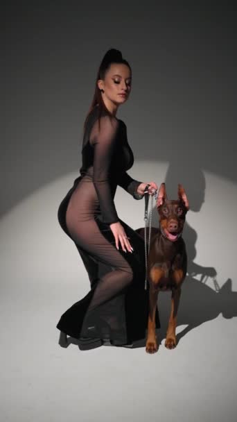 Model Przezroczystej Sukni Prowadzi Doberman Smyczy Studio — Wideo stockowe