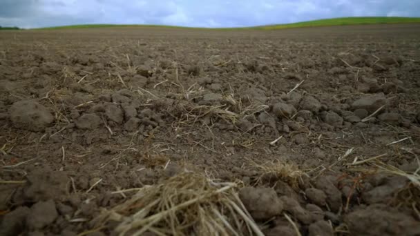 耕作された農地の乾燥した汚れた土壌の詳細な眺め — ストック動画