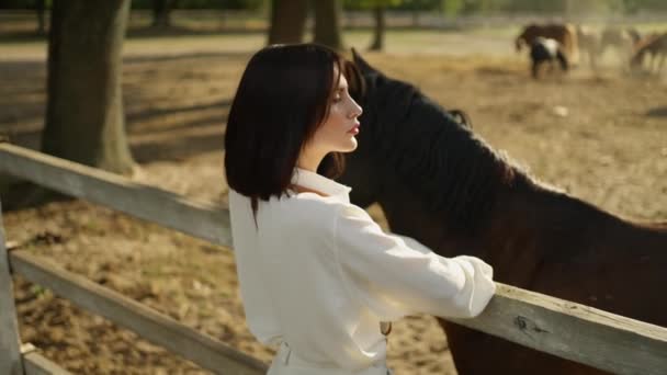 Egy Fehér Lovas Ruhás Fiatal Kötődik Lóhoz Egy Farmon — Stock videók