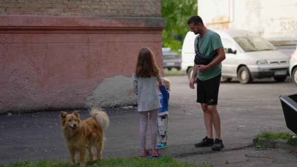 Hombre Interactuando Con Niños Perro Aire Libre — Vídeos de Stock