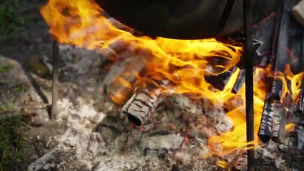 キャンプファイヤーを燃やし 荒野で料理するポット — ストック動画