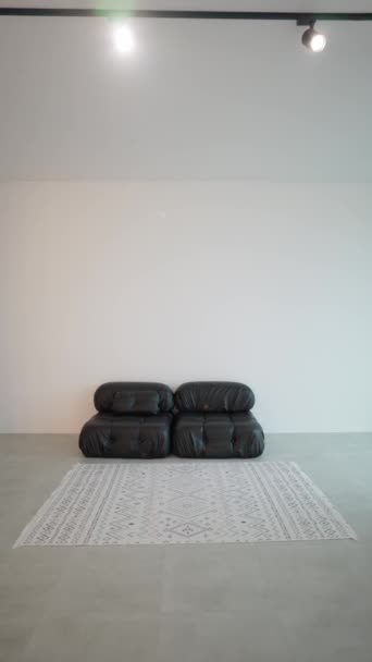 Espacio Salón Sencillo Moderno Con Muebles Minimalistas — Vídeo de stock