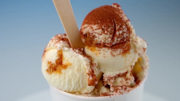 Creamy Vanilla Ice Cream Garnished Layer Ground Cinnamon Served White — ストック動画