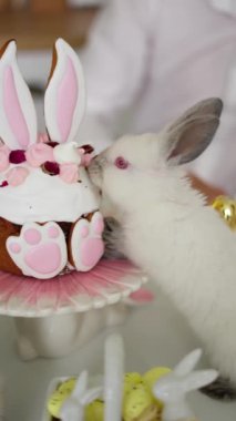 Tavşan şeklinde süslenmiş, pembe ve beyaz elementlerle süslenmiş küçük beyaz tavşan kokulu pasta..