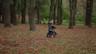 Arkadan küçük bir bisikletle düşen sonbahar yapraklarıyla kaplı bir parkın içinden geçen genç bir çocuk görülüyor..