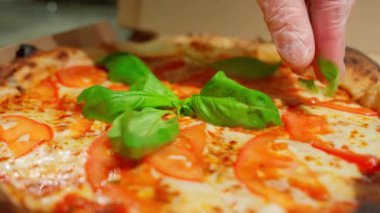Taze fesleğen yaprağı, dilimlenmiş domates ve erimiş peynirli Margherita pizzası..