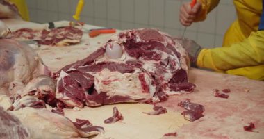 Sarı koruyucu giysili bir kasap, yanında aletlerle kan lekeli bir masada çiğ et kafası işliyor..