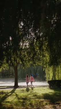 Yeşil ağaçların altında gölün kenarında yürüyen iki kadın, güneş ışığı yaprakların arasından süzülerek ve suyu yansıtarak doğada huzurlu bir sonbahar gezintisi yapıyor..