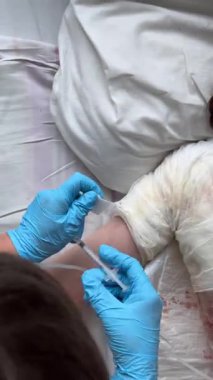 Eldivenlerde tıbbi uzman. Klinik ya da evde bakım ortamında hastalara enjeksiyon yapıyor..