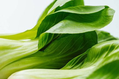 Masanın üzerine taze sebze güveç malzemeleri serpiştirilmiş.