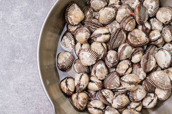 Fresh Seafood Cockles Bowl — Stock Photo, Image
