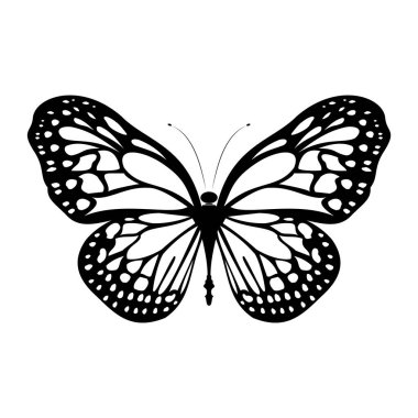 Siyah kanatlı bir kelebeğin dijital çizimi