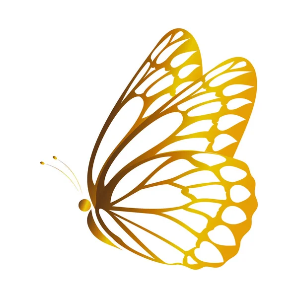 Dibujo Digital Una Mariposa Con Alas Doradas — Vector de stock