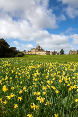 CASTLE HOWARD, YORK, UK - 23 Mart 2024. Howard Şatosu 'nun dikey manzara manzarası Howardian Hills' te güneşli bir günde nergislerin çiçek açtığı bir ev.