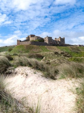 BAMBURGH CASTLE, NORTHUMBERLAND, UK - APRIL 23, 2024.  Vertorama landscape panorama view of Bamburgh castle and sand dunes on the beautiful Northumberland coast with blue sky and sunshine clipart