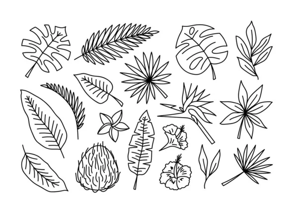 Vector Hand Drawn Summer Tropical Leaves Flowers Line Doodles Set — Stock Vector