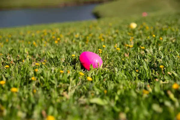 A pink, plastic Easter egg hidden in the short grass in a neighborhood park with a pond for a holiday celebration.