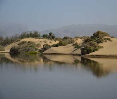 Suya yansıyan kumulların güzel manzarası, Maspalom Charca, Gran Canaria, Kanarya Adaları