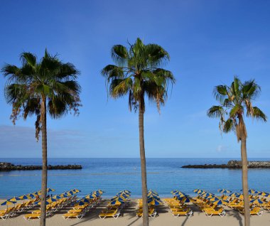 Sahilde birçok hamak, ön planda palmiyeler ve arka planda mavi gökyüzü, Amadores, Gran Canaria, İspanya kıyıları
