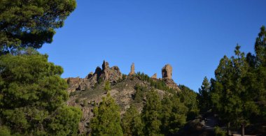 Ön planda çam ormanı ve arkasında mavi gökyüzü olan Roque Nublo, Gran Kanarya, Kanarya Adaları
