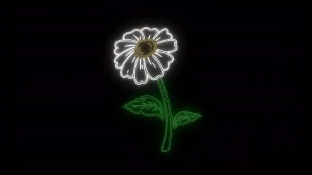 Zářící Jasný Neon Sedmikráska Květ Vykreslení Černém Pozadí — Stock video