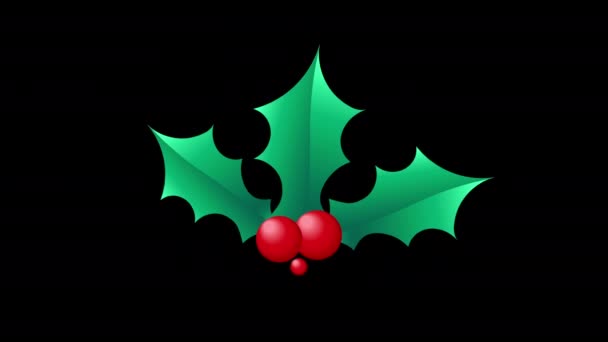 简单的动画渲染黑色背景与圣诞冬青浆果 — 图库视频影像
