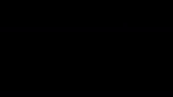 Черный Фон Рамкой Ветви Елки Зеленой Сосны Красные Ягоды Подарочные — стоковое видео