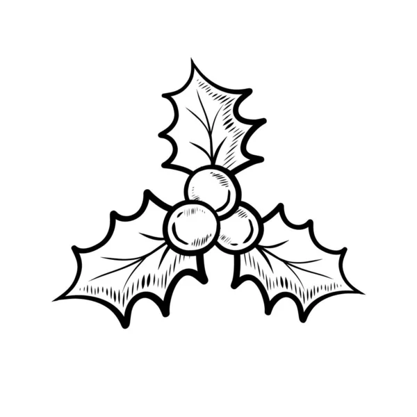 Простой Ручной Рисунок Холли Берри Белом Фоне Рождественское Растение — стоковый вектор